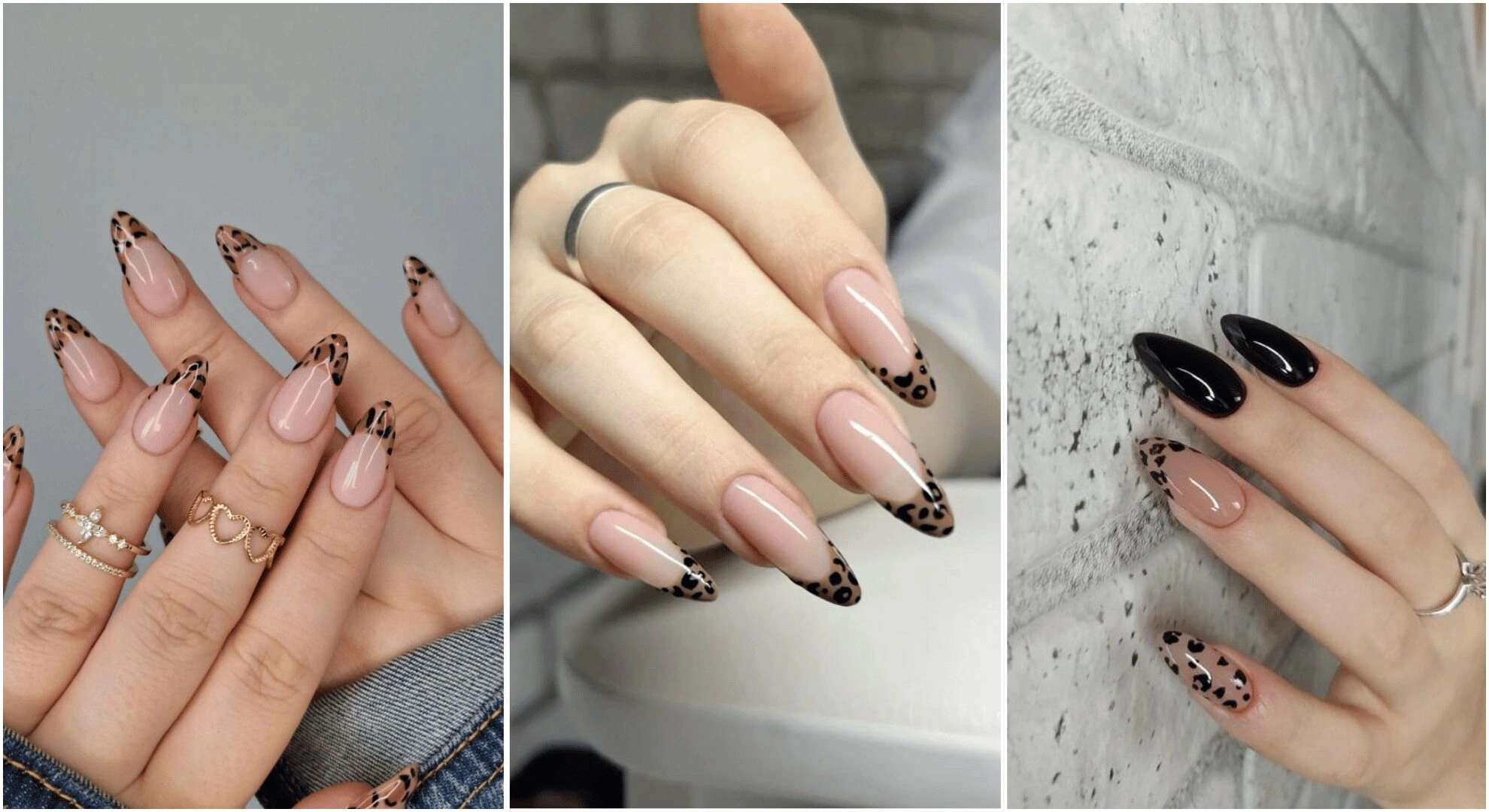 17 Bold 2025 Leopard Print Nail Design Trends — Stunning Style Alert