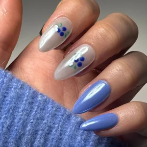 27 Stunning Blue 2025 Nail Art Trend Ideas