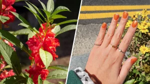 28 Korean Floral Nail Trend 2025: Fresh Spring Touch