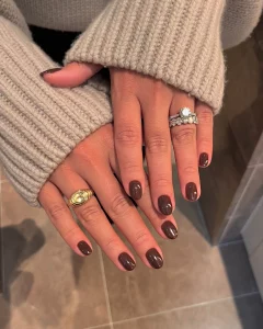 19 Sophisticated Monochrome Brown Nail Concept