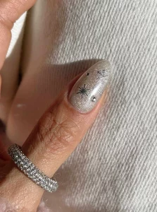 29 Silver Shimmer Winter Nail One‑Finger Elegance