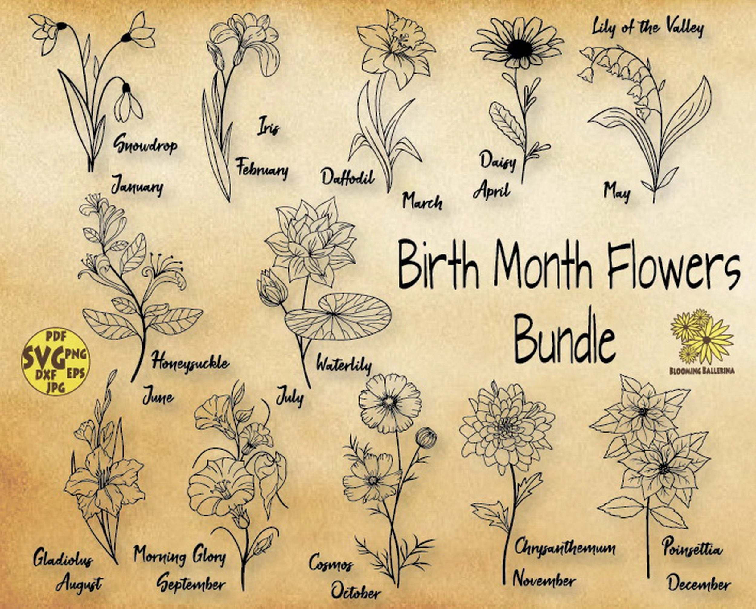 April And November Birth Flower Tattoo
