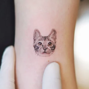 16 Cat Behind The Ear Tattoo: A Minimalist Charm