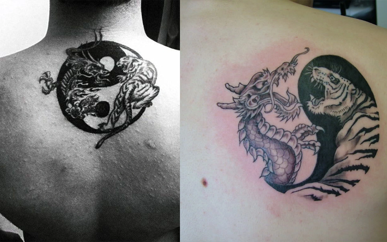 16 Powerful Chinese Tiger And Dragon Tattoos Lead Bold