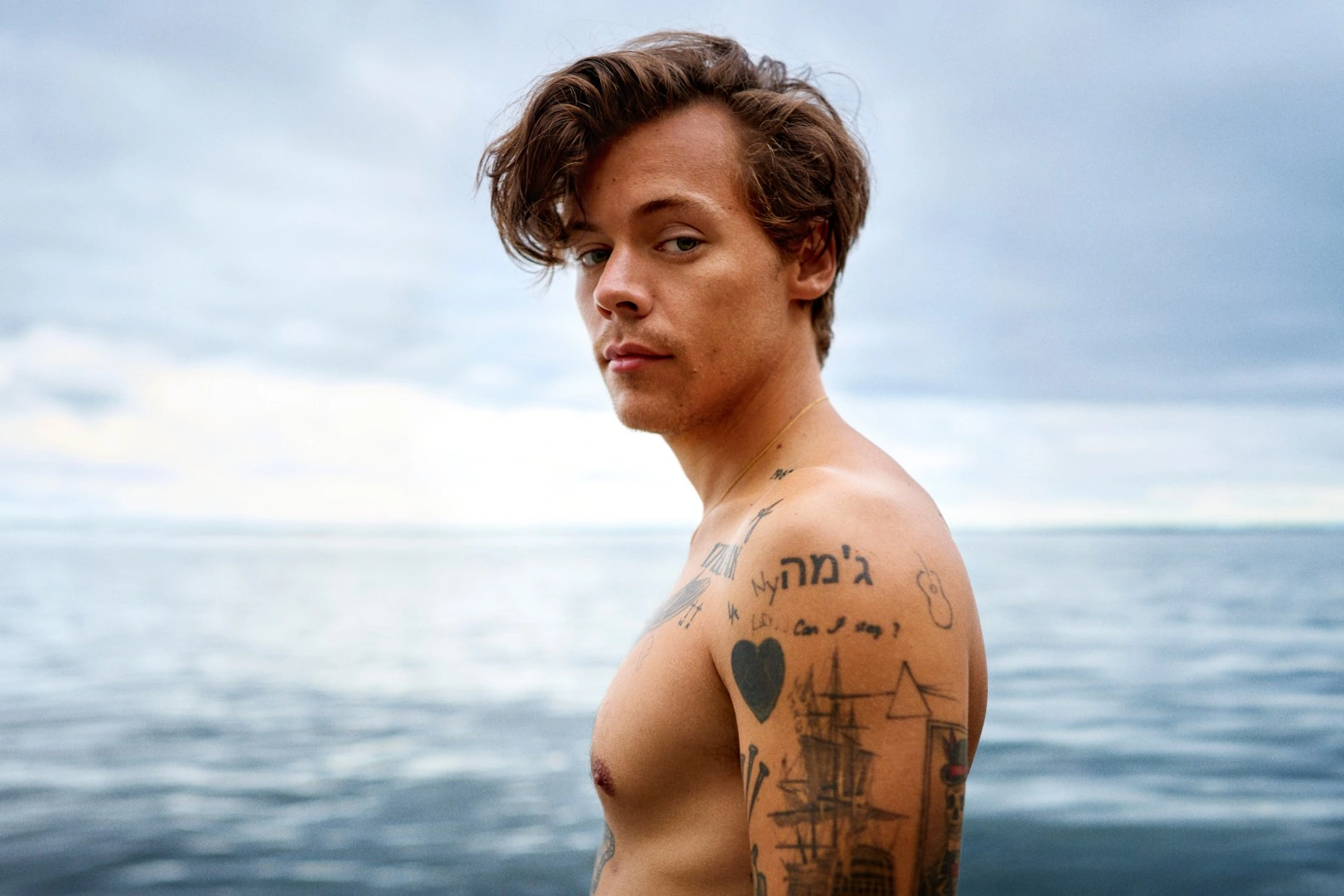 18 Elegant Fine Line Harry Styles Tattoos Unveiled