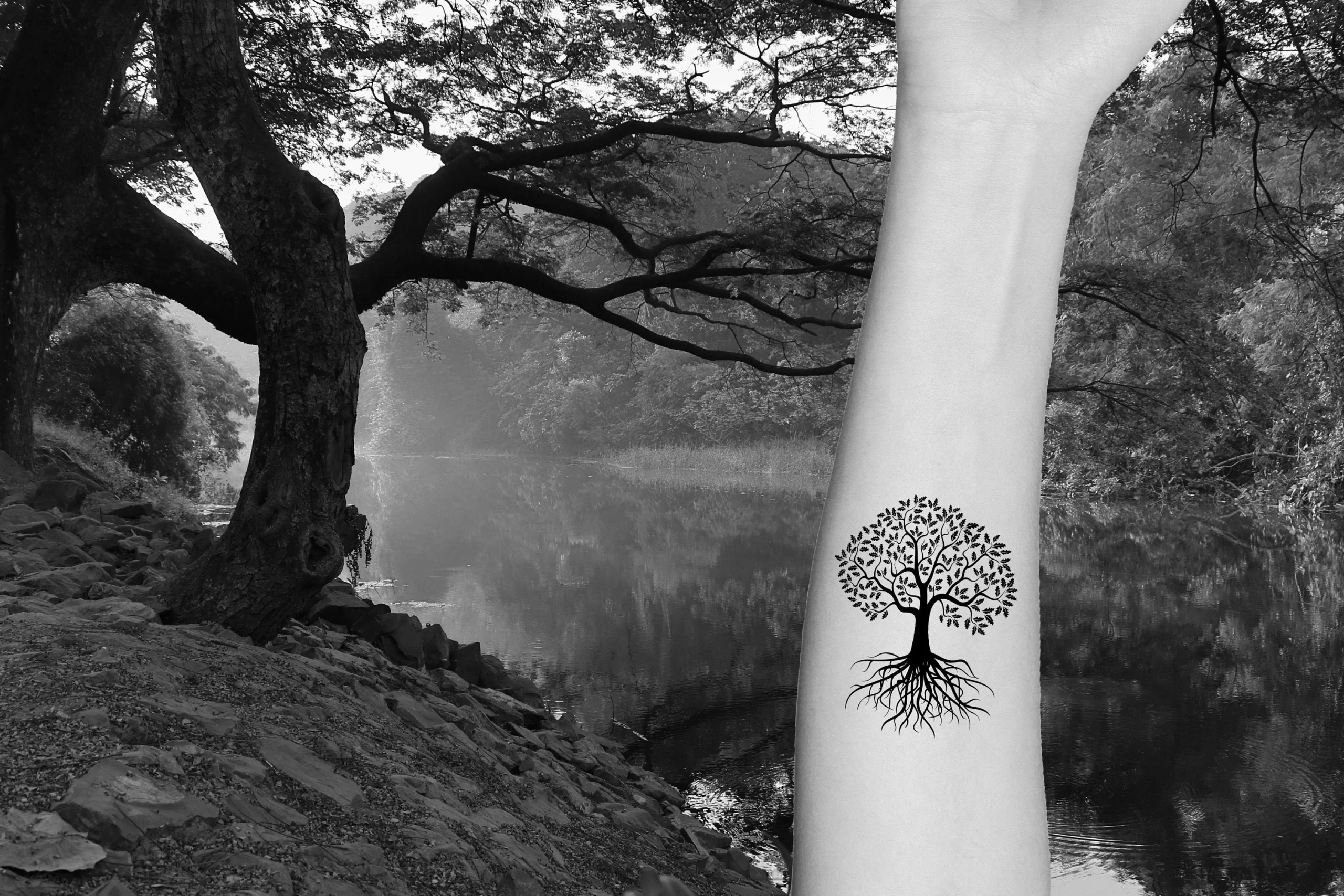 19 Elegant Forearm Tree Of Life Tattoos Invitation