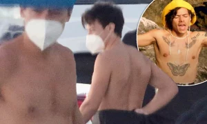 21 Harry Styles Palm Tree Tattoo Highlights