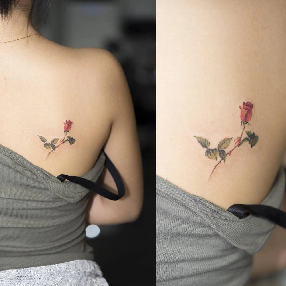 15 Elegant Rose On The Shoulder Tattoo: Grace In Blooms