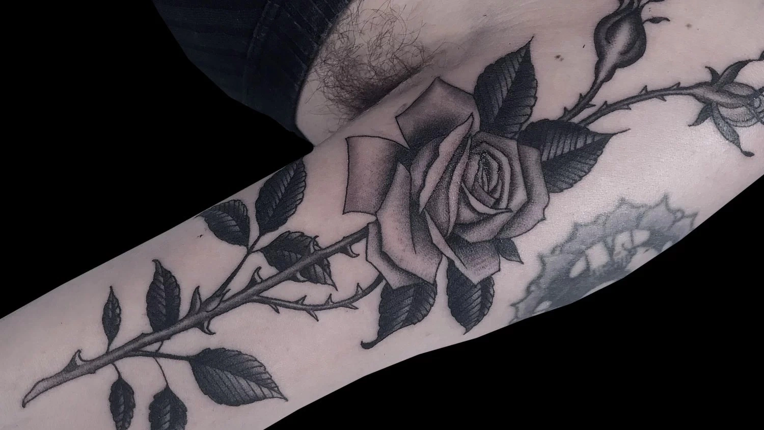 19 Graceful Rose With Long Stem Tattoo For Love