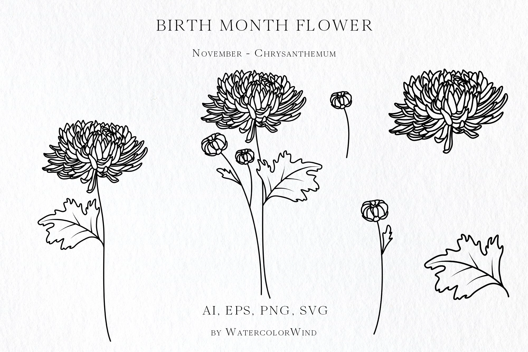 26 Elegant Small November Birth Flower Minimalist Chrysanthemum Tattoo Simple Stay Graceful