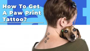 27 Reflection Tattoo Of A Dog Paw Print