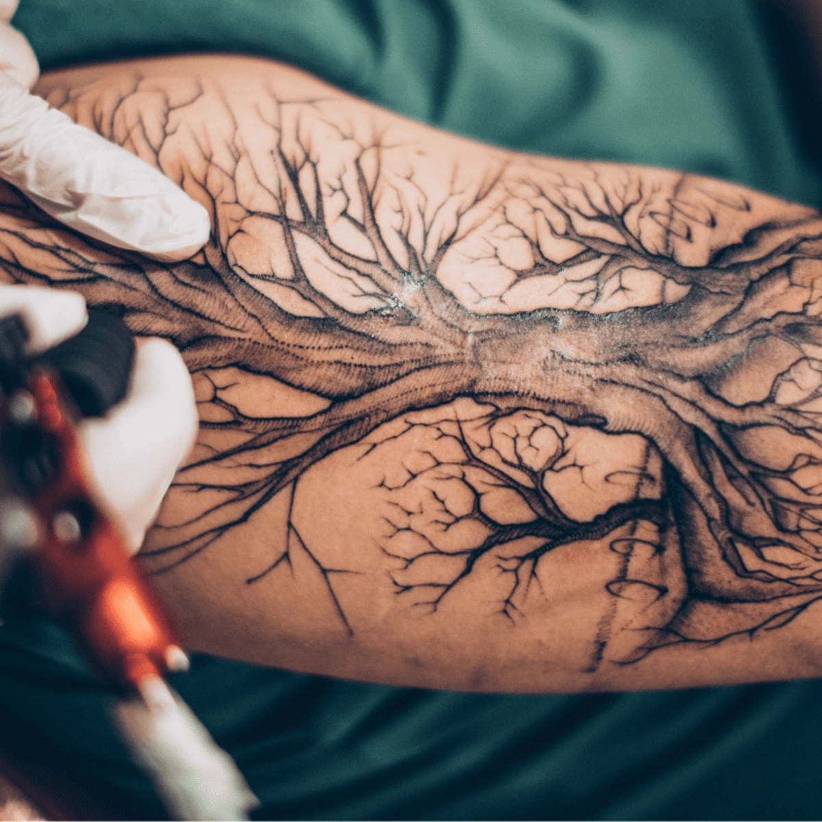 Tree Of Life Tattoos For Men